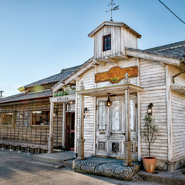 カボチャのたね